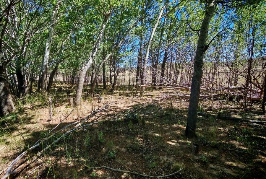 4 Bedroom Property for Sale in Middelburg Rural Eastern Cape